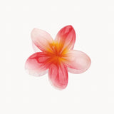 Hawaiiblomst hårklemme - Rød